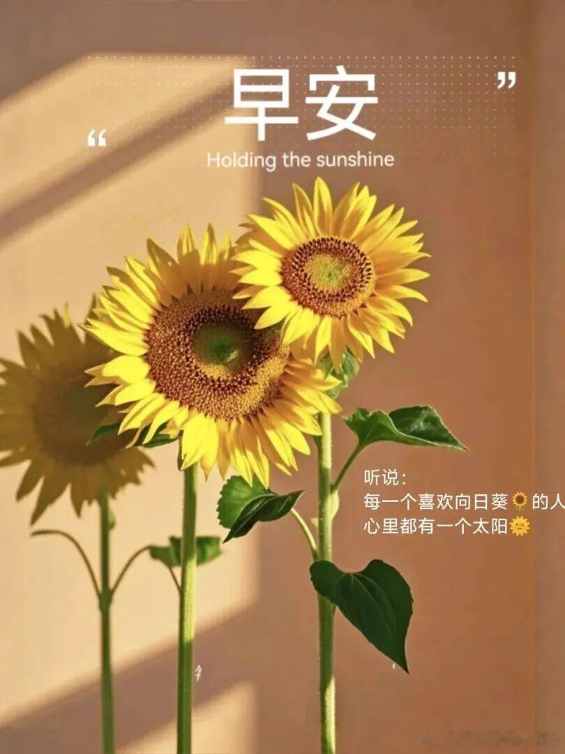 🍃☀︎🍃晨光渐暖，秋风渐柔，忙碌的日子依旧向前，愿你心有清欢，行有从容，把每