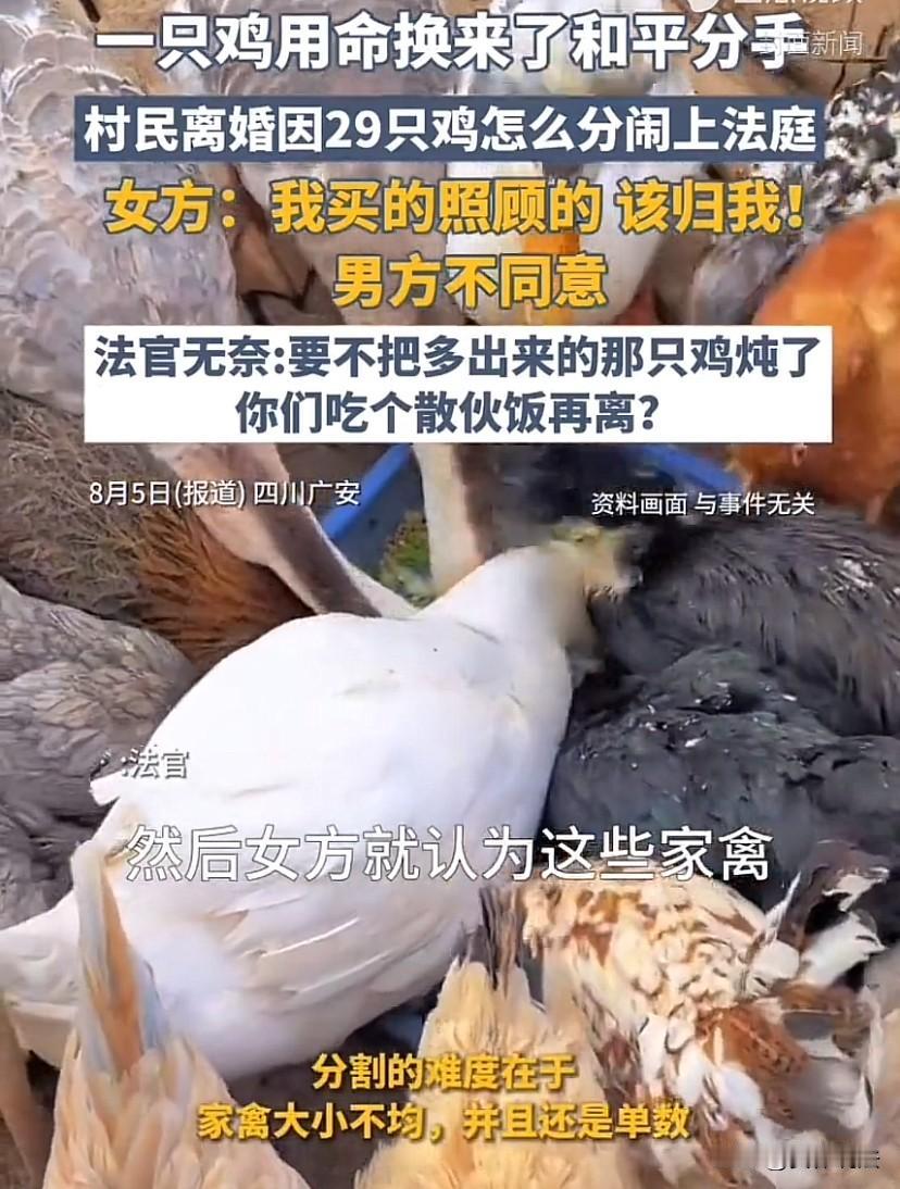 夫妻俩闹离婚，要求法院分割29只鸡、22只鹅和2只鸭子。因平均分配多出一只鸡，双