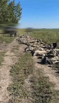 14日，乌克兰安全局（SBU）特种部队在俄罗斯库尔斯克地区俘虏了102名俄罗斯士