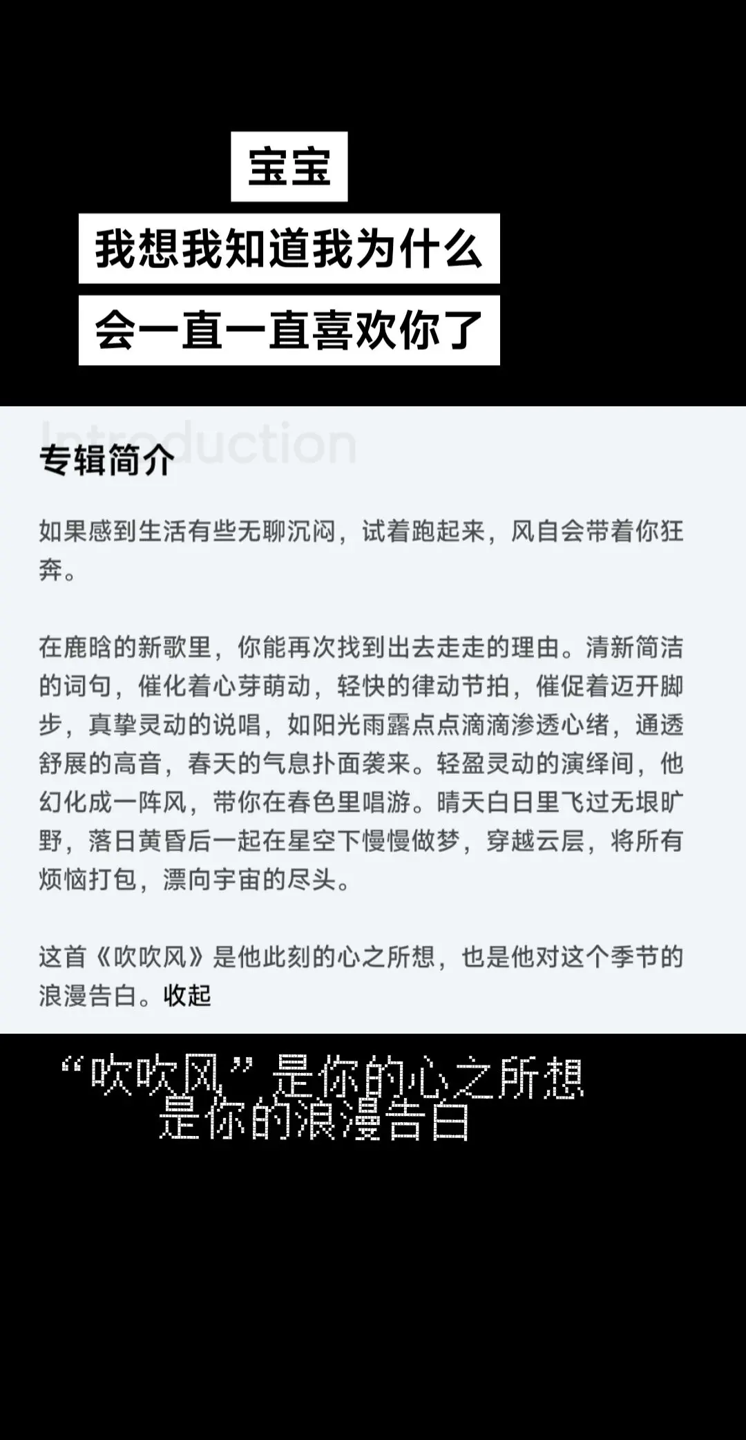 “吹吹风”是你的心之所向  是你的浪漫告白