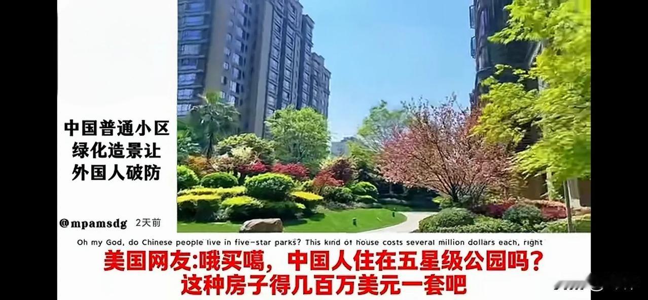 真实的中国让各国网友集体“碎”了（二）

英国网友：中国之行让我开了“天眼”。就