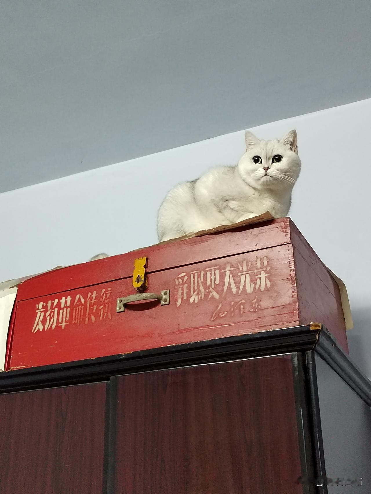 “发扬革命传统，争取更大光荣”。不知道还有多少人家中留存着这样承载革命传统的旧木