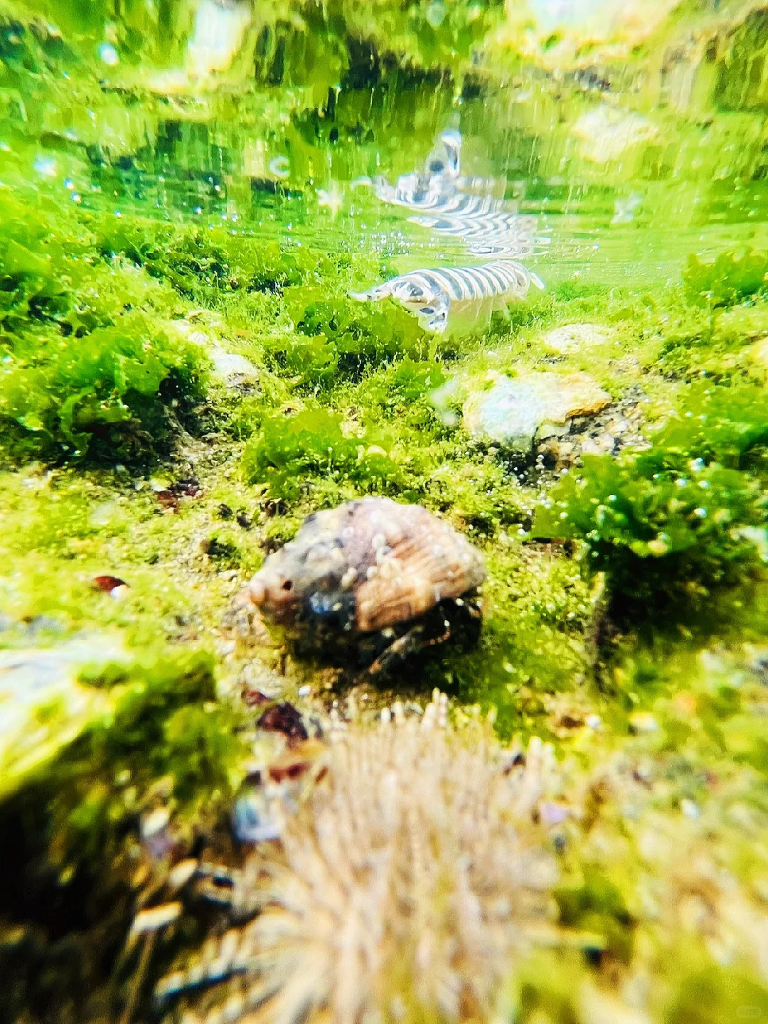 比起国外，我更享受台山淳朴的小渔村