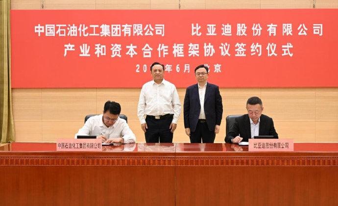 刚落地刷到个大新闻，比亚迪和中国石化居然联手了，而且不是那种“签个协议握握手”的