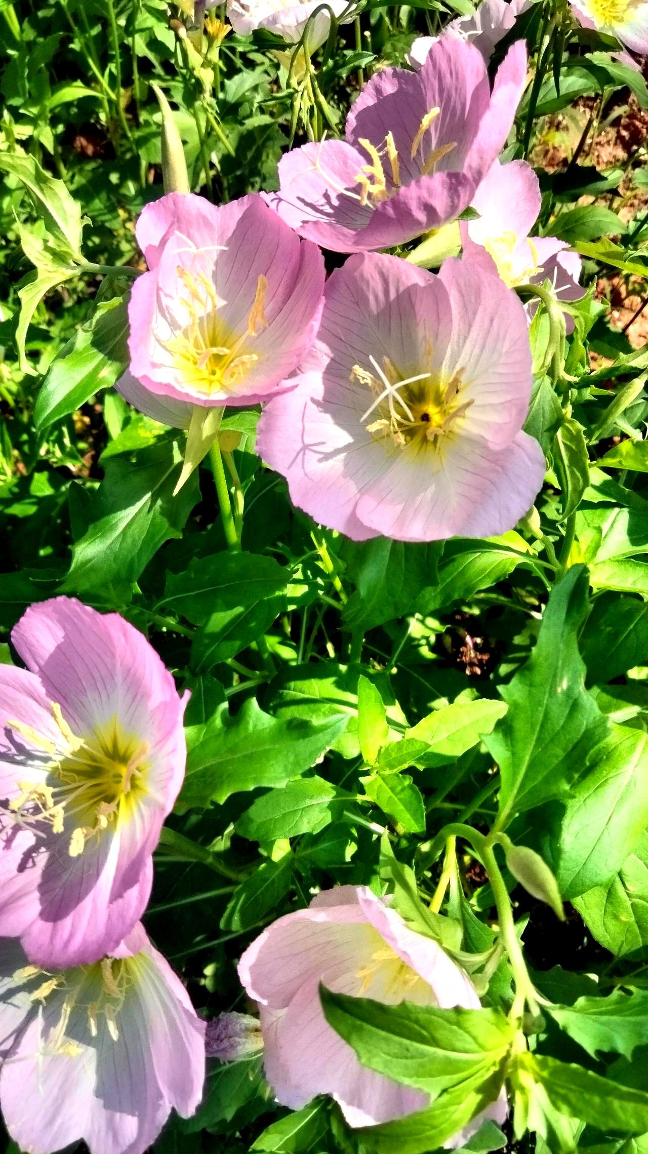 见过最典型的“被剩”，真不是穷，也不是丑。
堂哥大学毕业，工作稳，身高长相都拿得