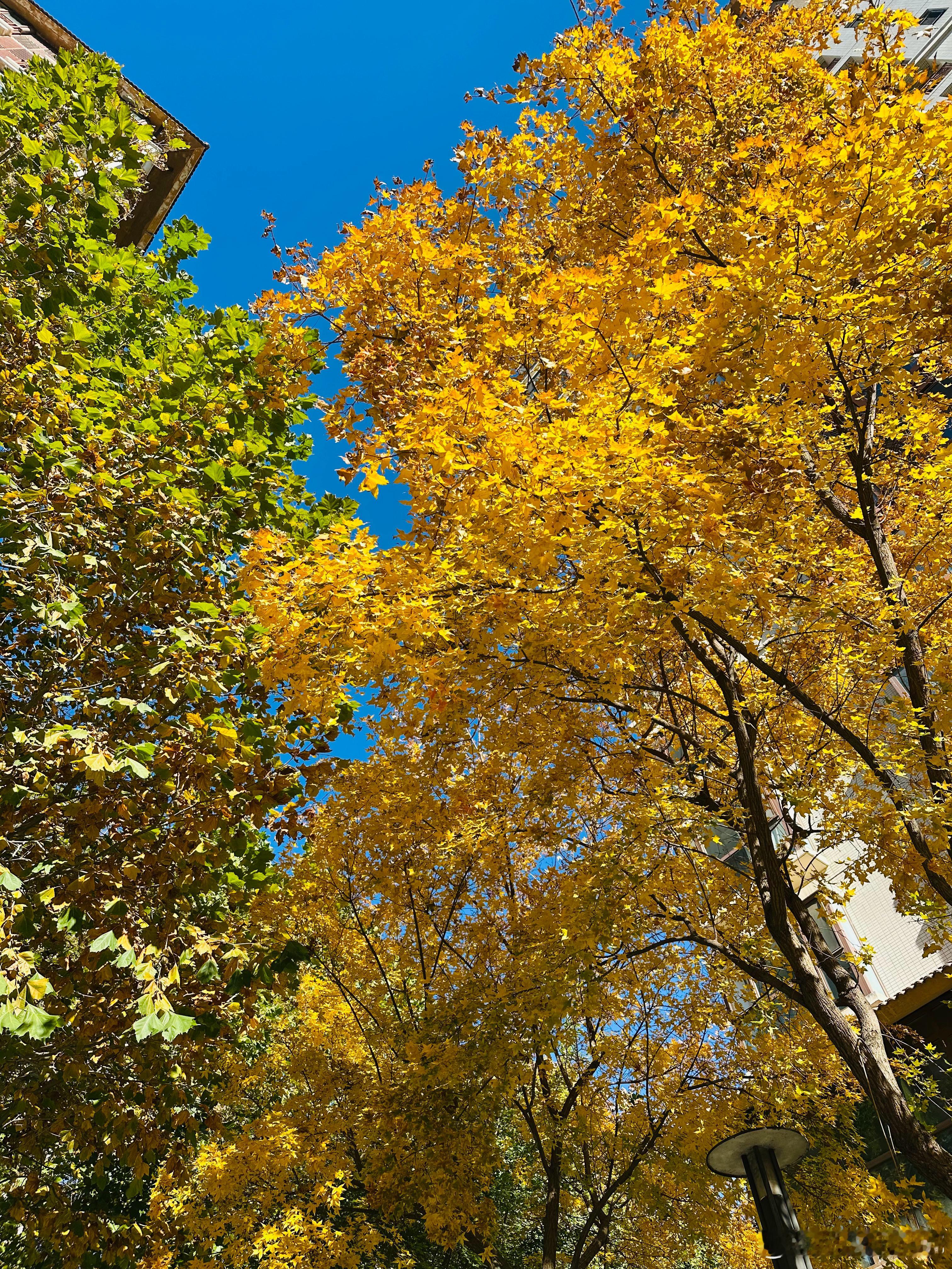 无一人可以独善其身，无一人可以功德圆满。 ​​​