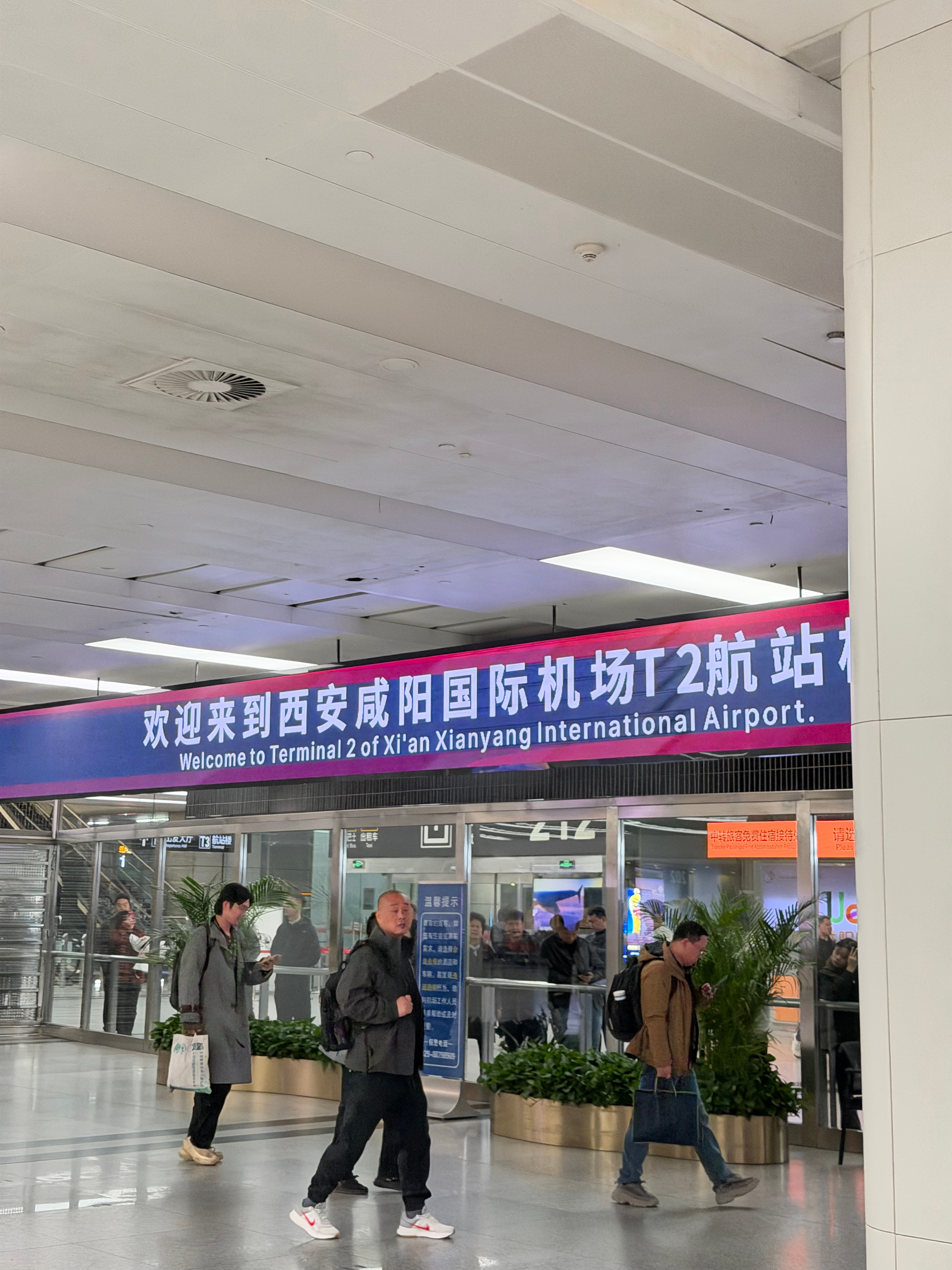 小陀螺 转起来～wcba全明星