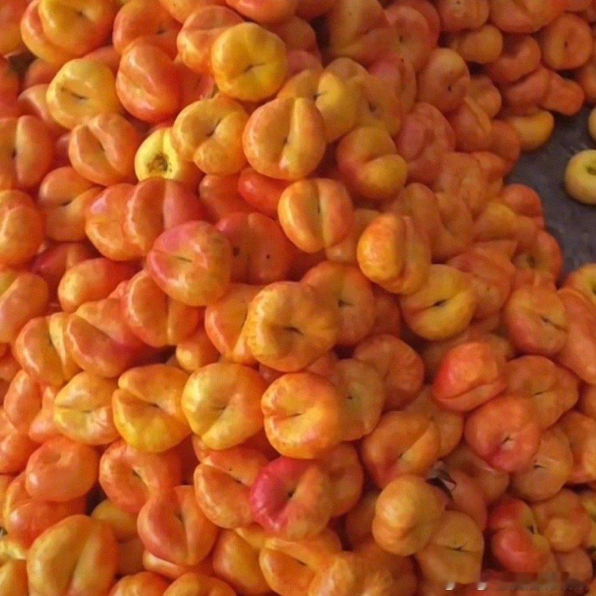 #山东的桃子已经离谱到这种程度了吗#看到了山东这么大的桃子，更加让我感受到这个地