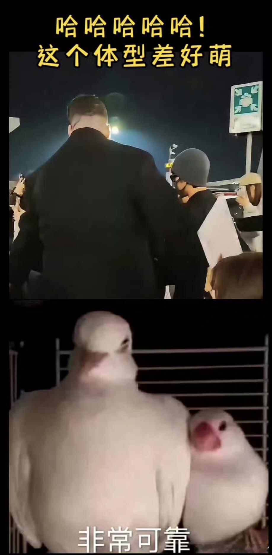 肖战的保镖目测Gucci给肖战准备的保镖先生2米1😌感觉好大只啊，衬托的183