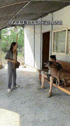 夫妻俩故意演戏试探狗狗偏向谁，女主人举扫帚佯装抽打男主人，狗子立刻护主，直冲女主