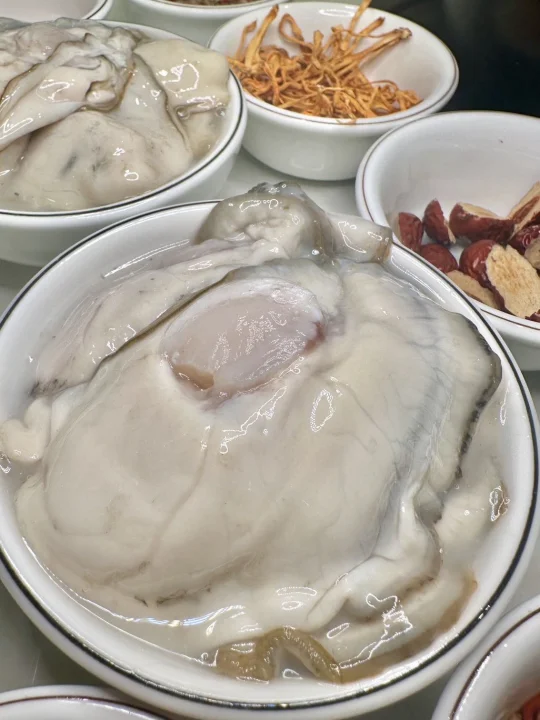 深圳人私藏！科学馆生蚝鸡火锅，把烟火气焊死