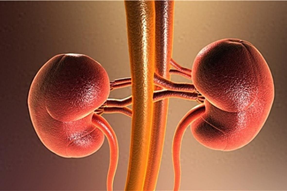 补肾别只知道五子、十子！它才是生精王者，从根把肾精养足
提示：本内容仅供健康科普