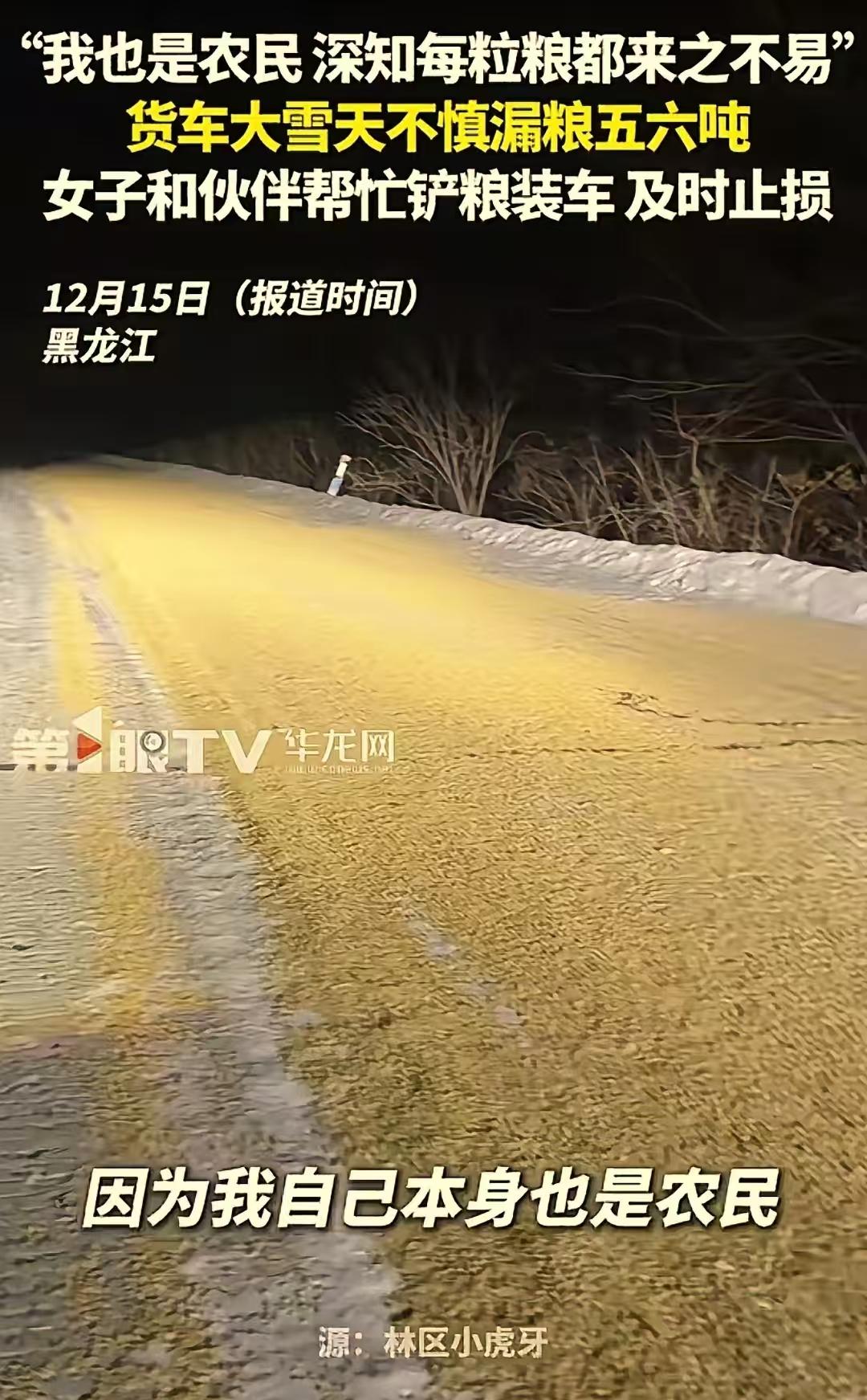 “这才是雪中送炭！”黑龙江，一女子晚上开车回家，突然看到前方地面铺了一地粮食。女