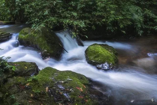 临江仙 · 四景

作者：刘过

半雨半晴模样，乍寒乍热天时。榴花香逐湿风飞。绿