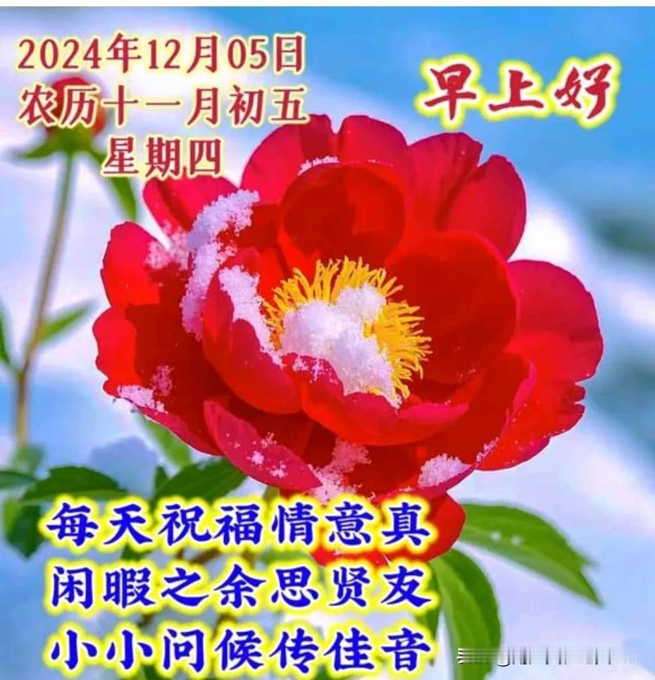 冬日问候，格外芬芳；
温馨祝福，情深意长；
相互牵挂，温暖心房；
信息短短，问候