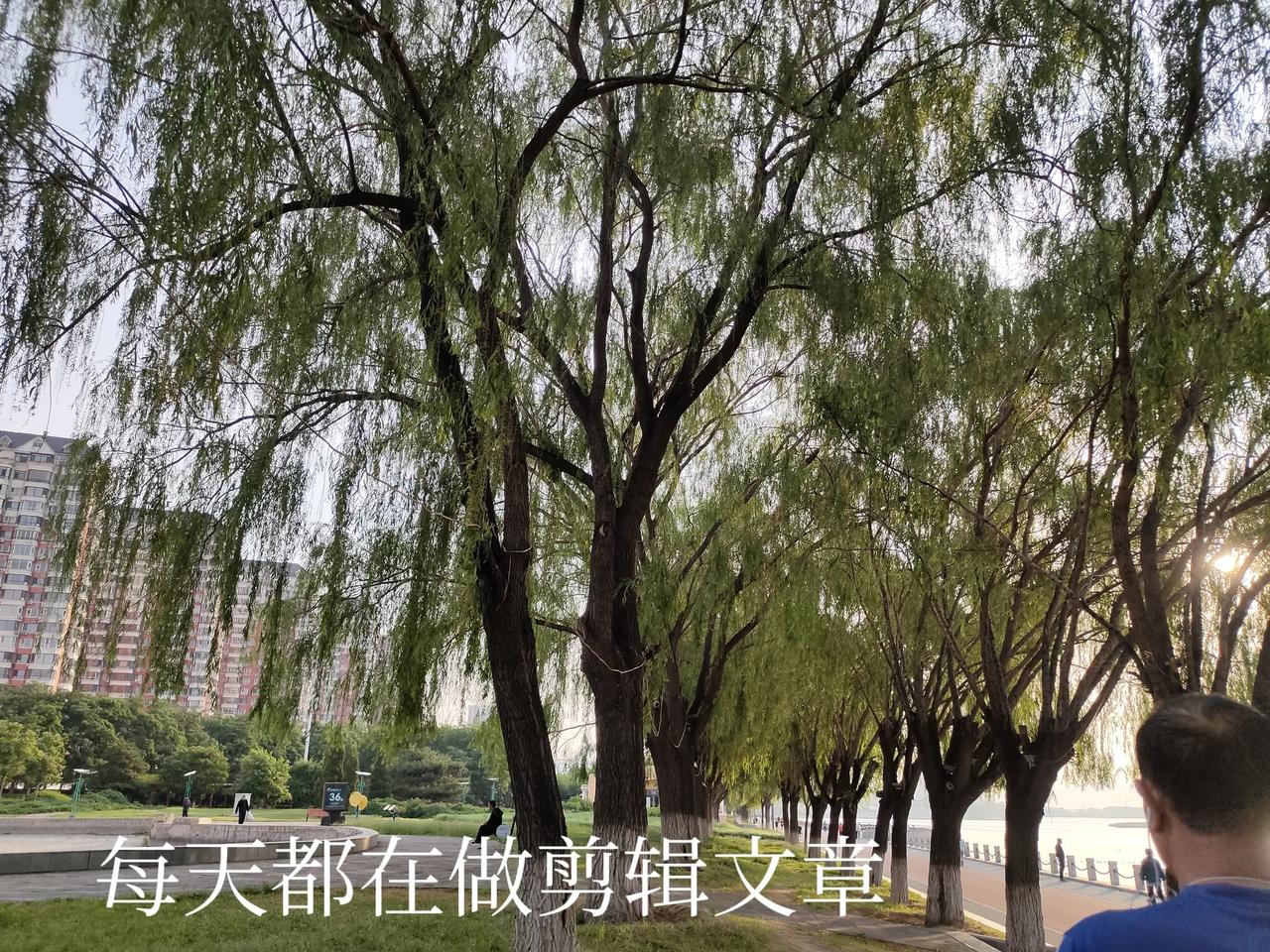#最近很开心的一件事#最近我最开心的事是我学会了剪辑，每天的生活充实了很多