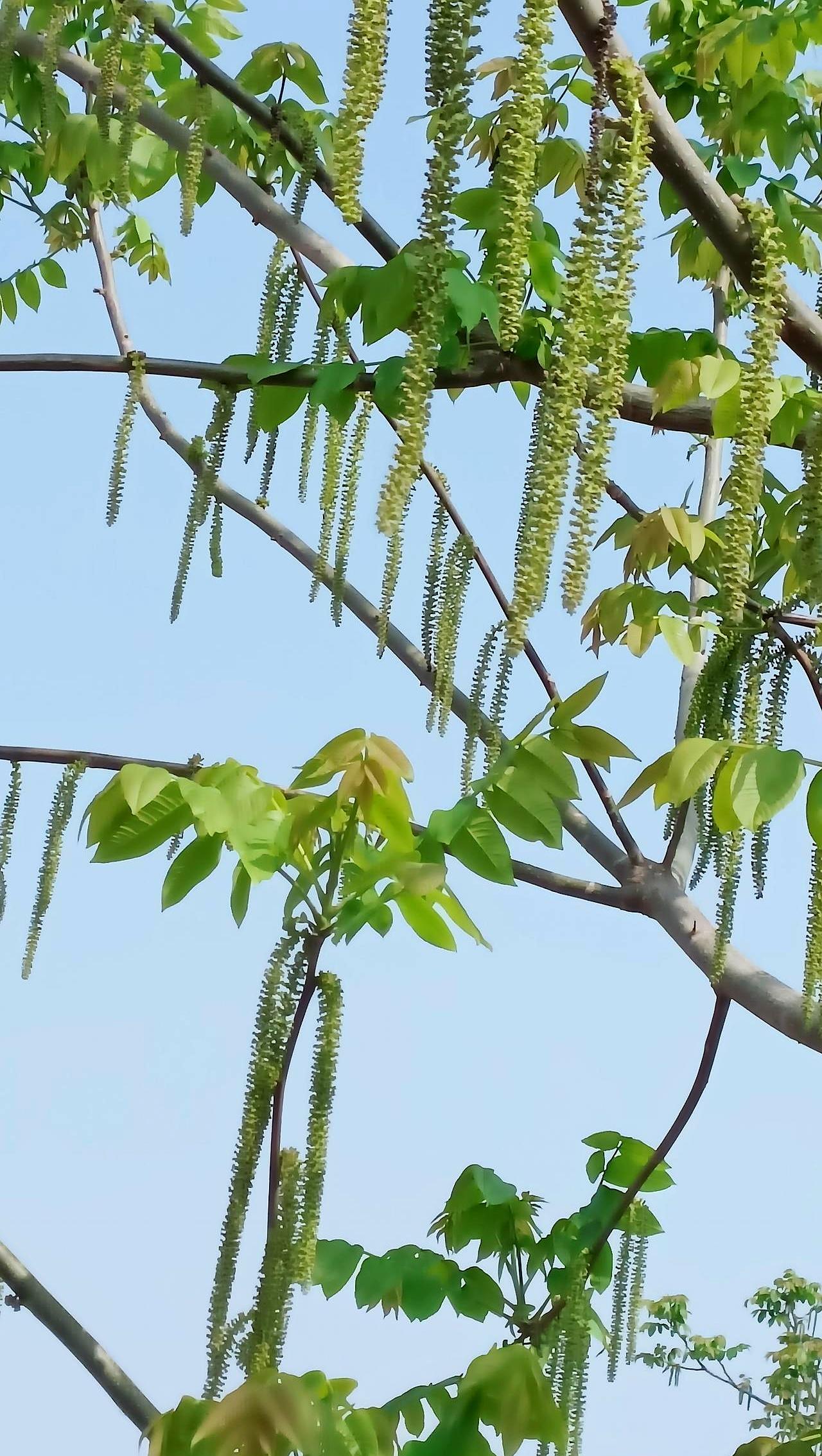 在快递驿站，工作人员喊着阿姨先试，顺了民意的一句“不合适就别签”，把老规矩掀了个