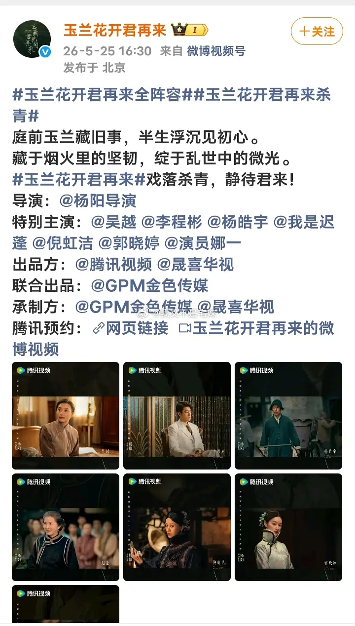 压一下明年白玉兰可能提名的大剧主角千里江山图江山大同玉兰花开君再来谍报上不封顶 
