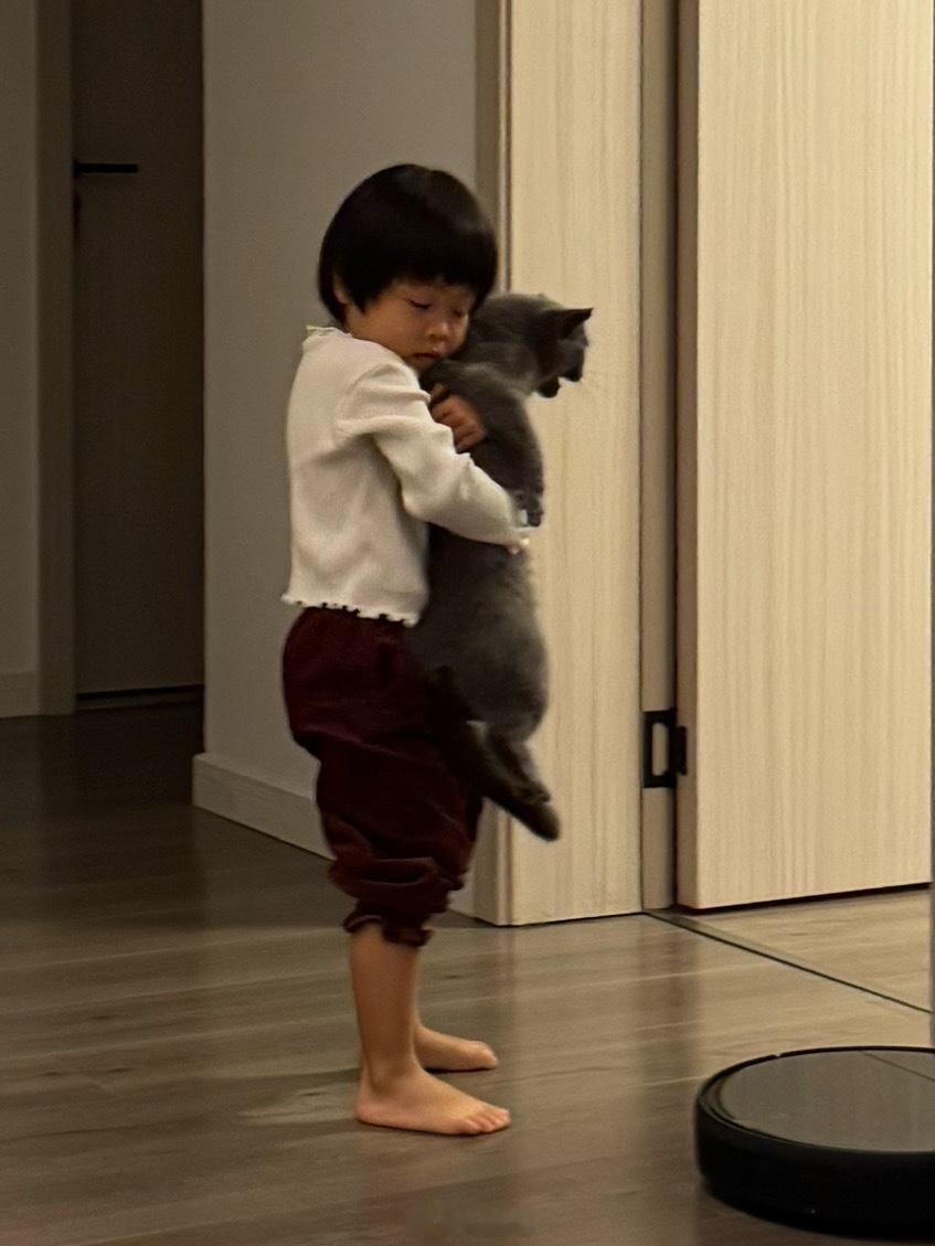 晚上旅蛙带着球去奶奶家了奶奶家的猫也难逃此劫 