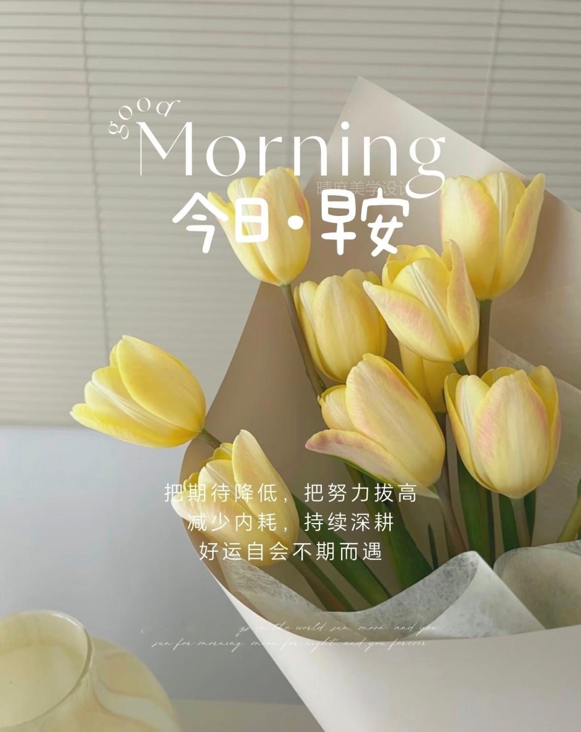 早上好！做浪漫的生活家手捧鮮花，心奏乐歌顺着风、踩着光，为今天的故事捎去惊喜，点