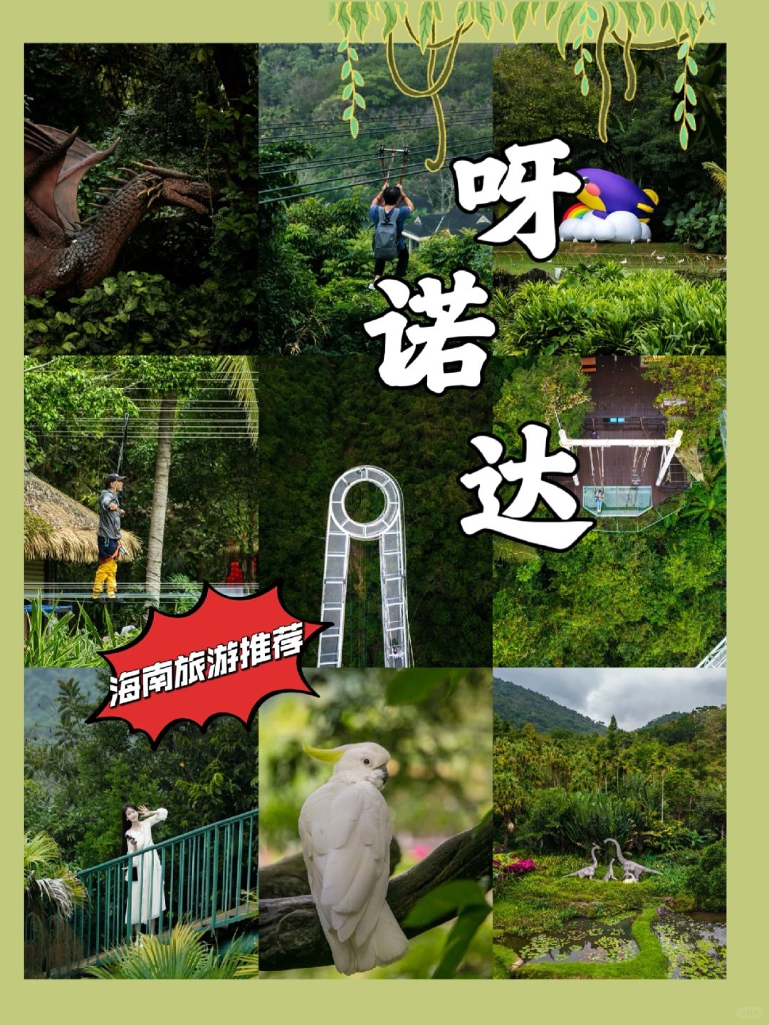 ✨发现呀诺达✨探险北纬18°的🌳 雨林秘境