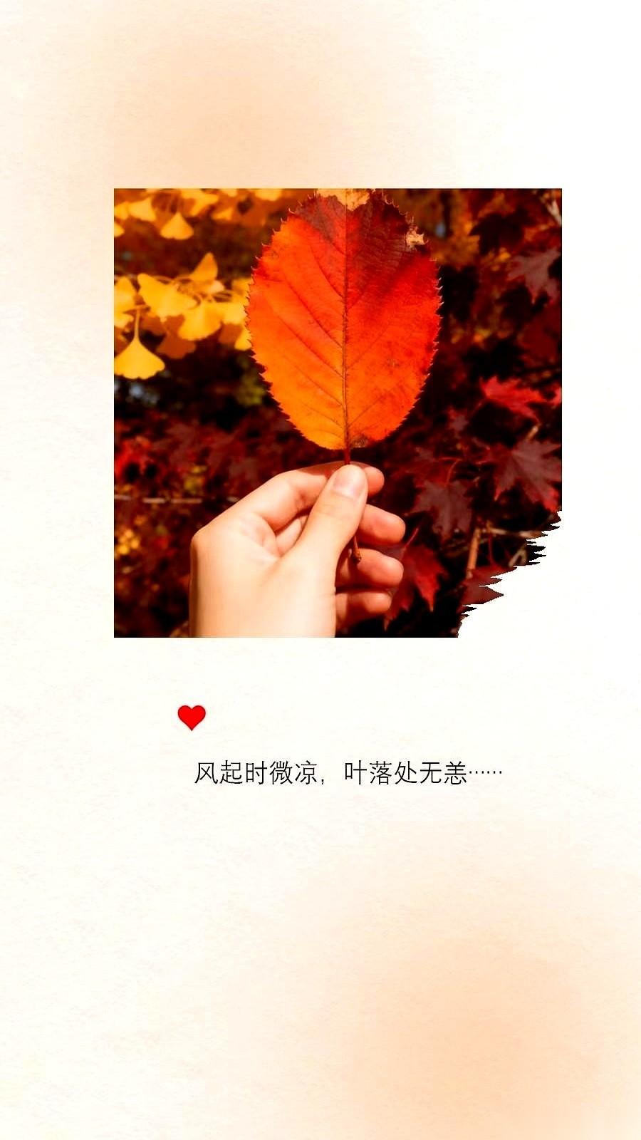 一阵妖风刮过来，卷起地上干巴巴的落叶，直接糊我一脸。
我才猛地反应过来——
秋天
