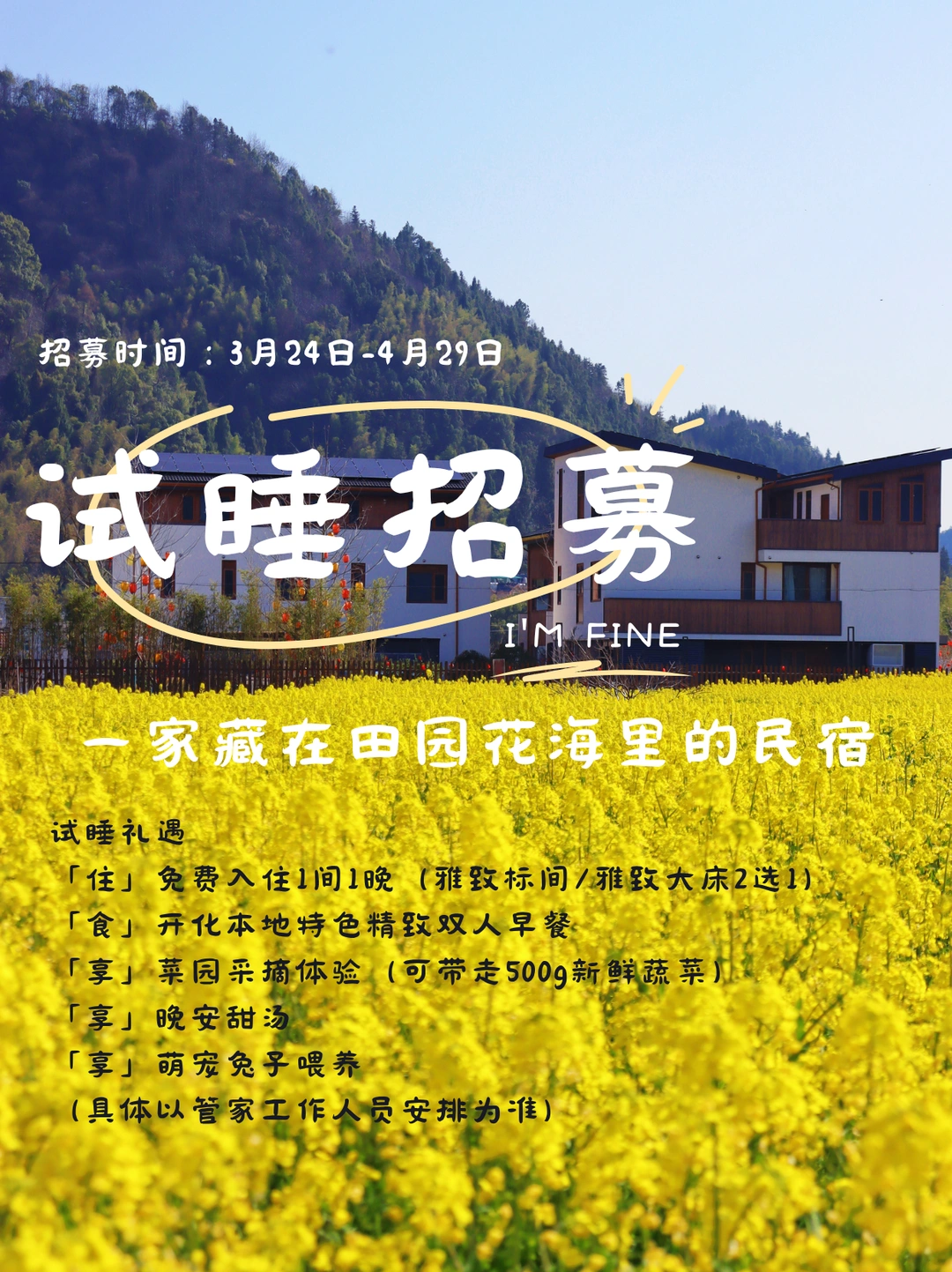 民宿试睡招募❗住进花海里de理想田园🌼