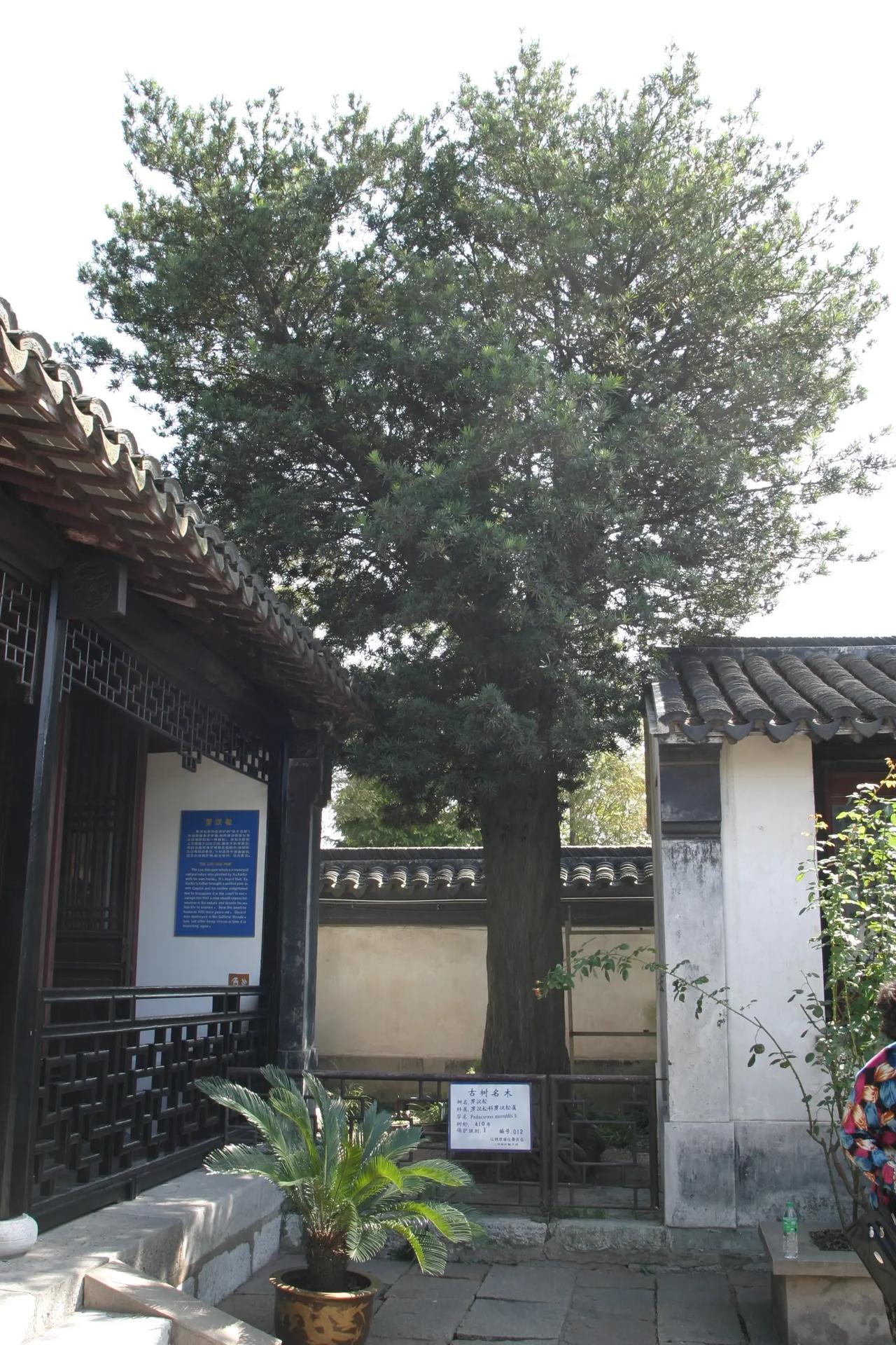 江阴旅游集锦 | 徐霞客故居晴山堂石刻。在江阴旅游，徐霞客故居的晴山堂石刻绝对是