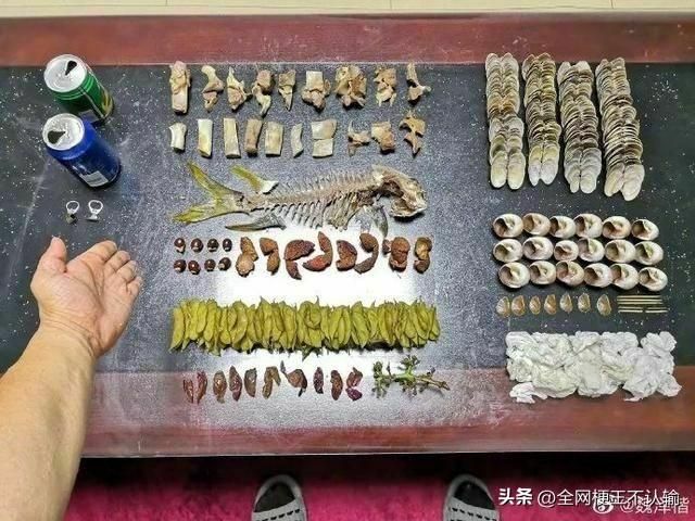 垃圾分类