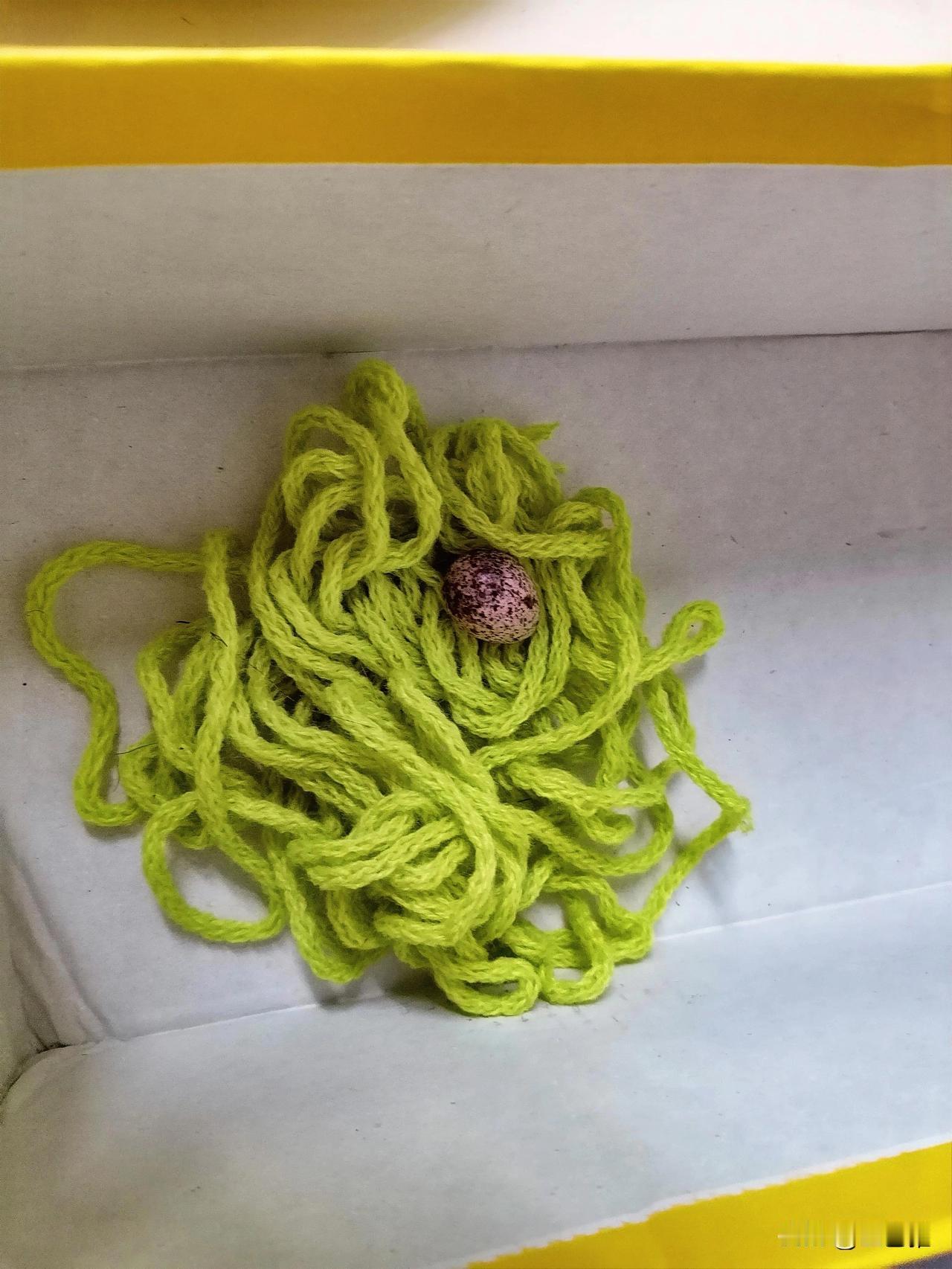 我妈还在乌兰浩特我老姨家串门呢！

早上我发了个视频连线，告诉老妈我昨晚梦见我和
