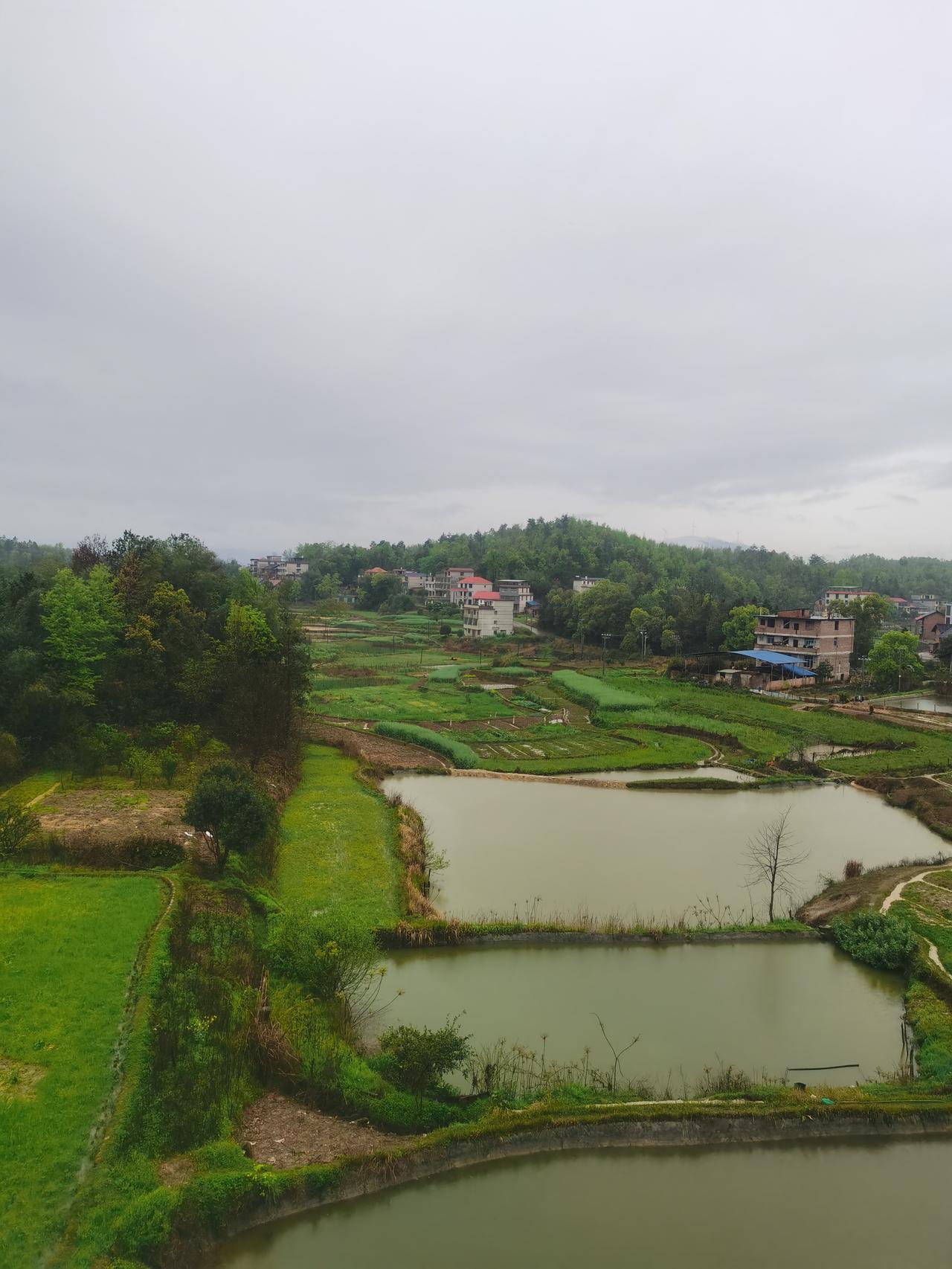 每一次回到农村老家，青山绿水依旧，没有什么变化，但心里舒坦，觉得真正的幸福，从不