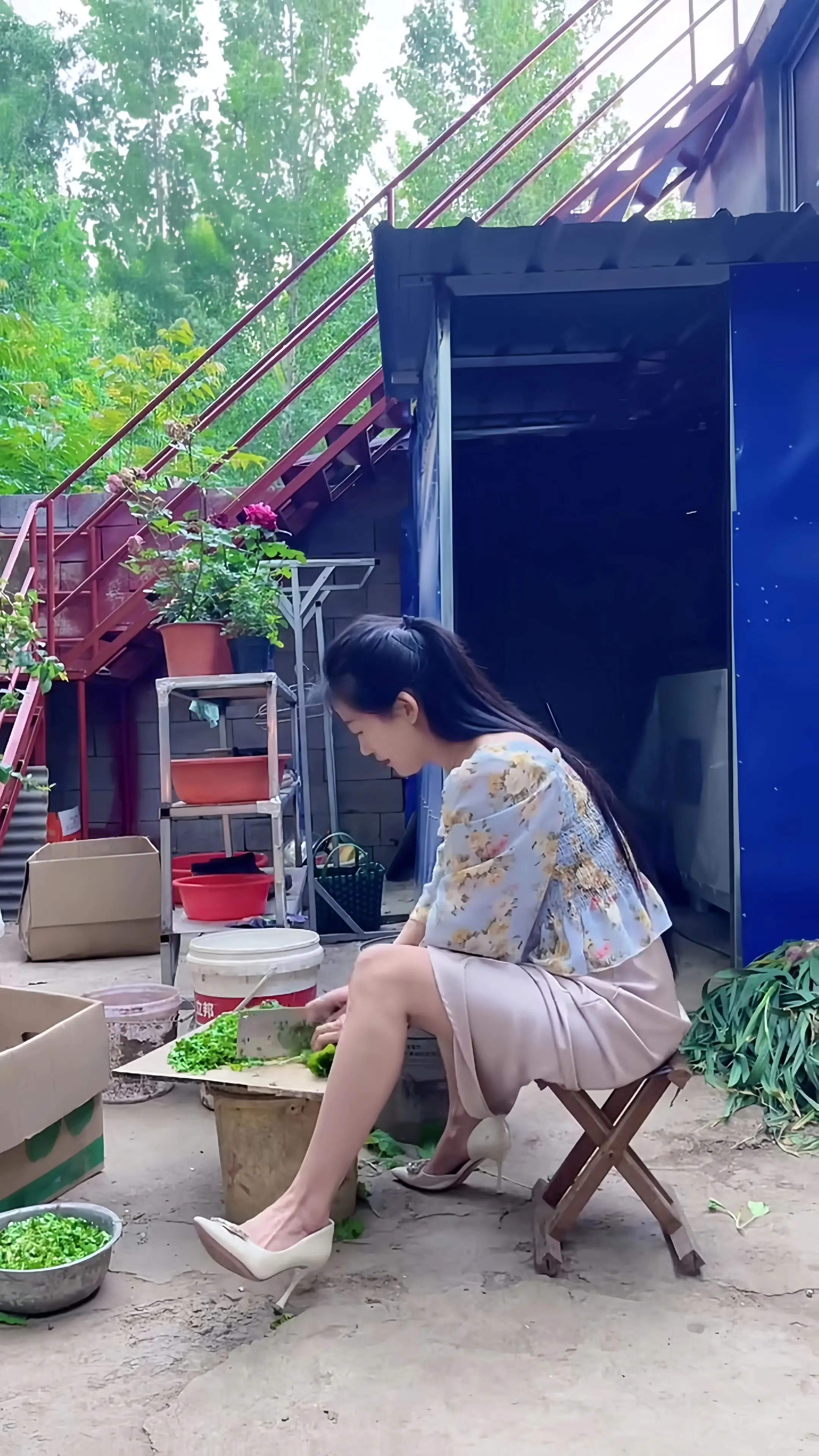 我妈让我喂大鹅