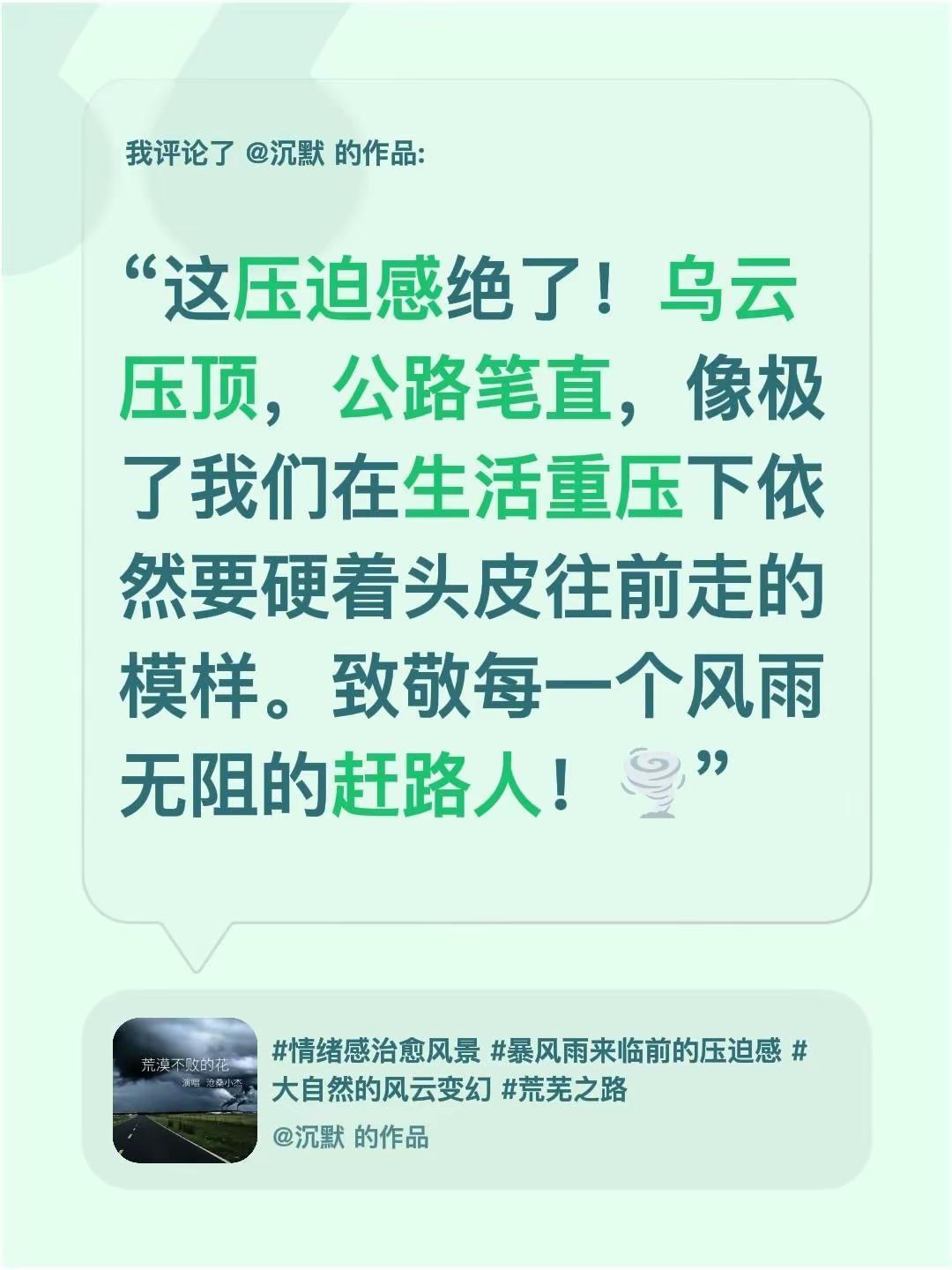 我评论了@沉默 的作品：“这压迫感绝了！乌云压顶，公路笔直，像极了我们在生活重压