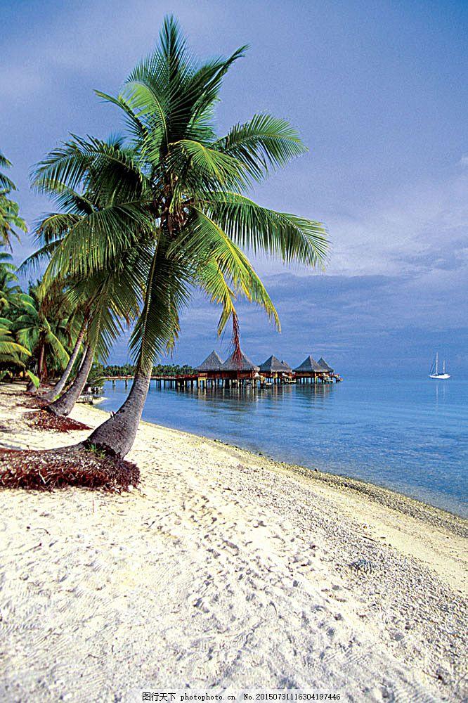 深以为然。
很多父母总怕孩子吃苦、走弯路，于是事事包办，把孩子的人生扛在自己肩上