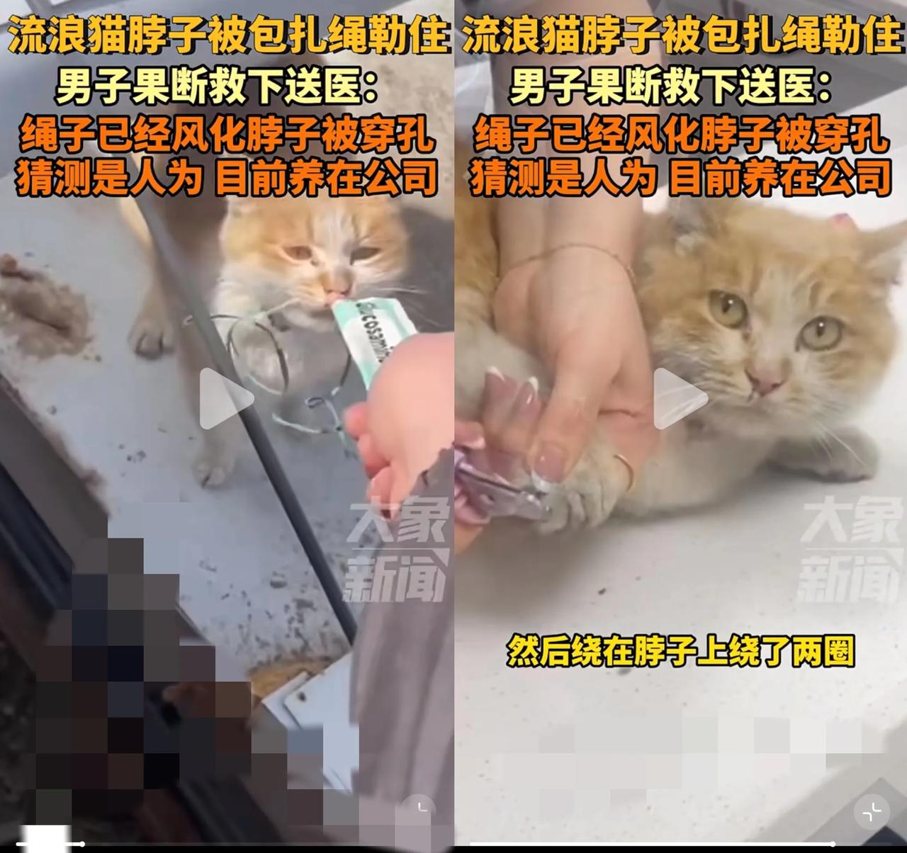 家人们谁懂啊！
       这么热的天，地面都能煎鸡蛋了，我骑车去游泳馆，想着