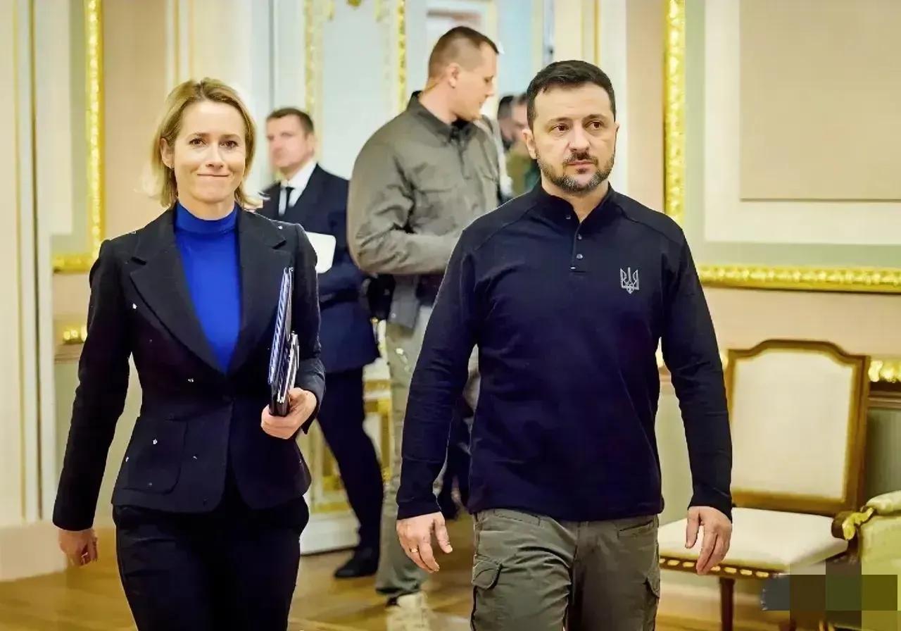 爱沙尼亚又对俄罗斯“动手”啦。据悉，爱沙尼亚3日扣押了一艘悬挂巴哈马旗帜的集装箱