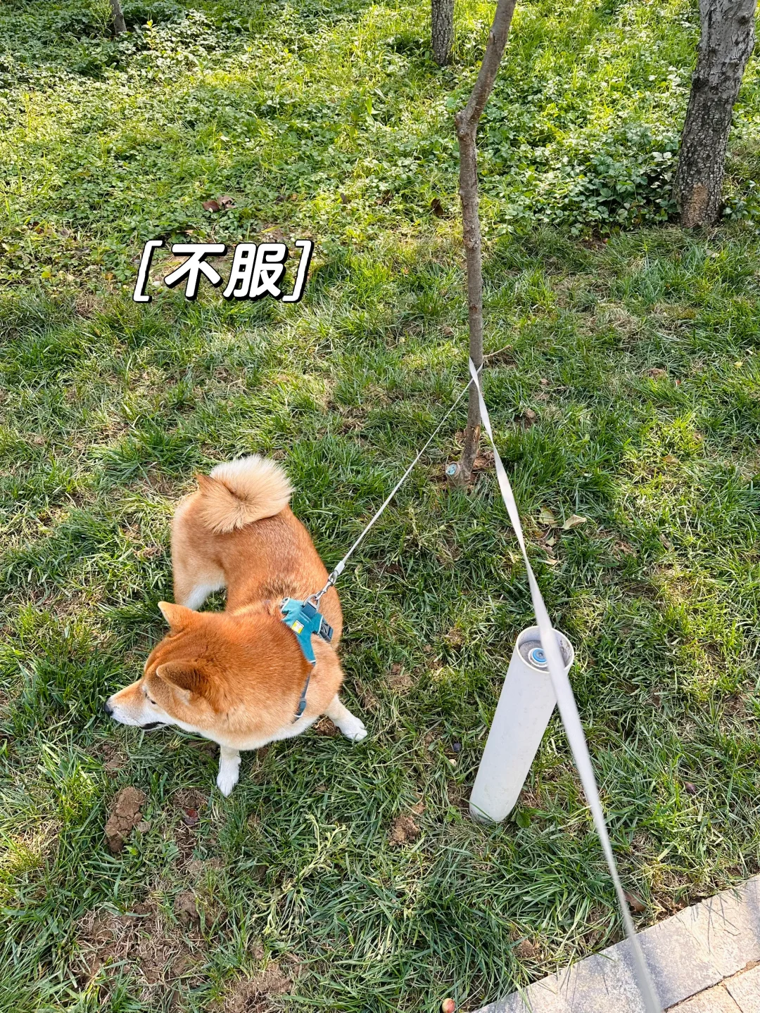 已经这么僵持十分钟了