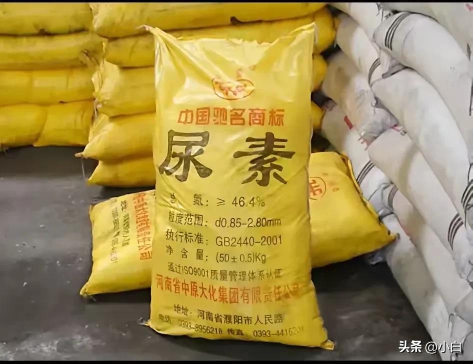 菲律宾你是来搞笑的吧？真是滑稽，菲律宾竟然也申请中国向他们出口尿素。也不知道小马