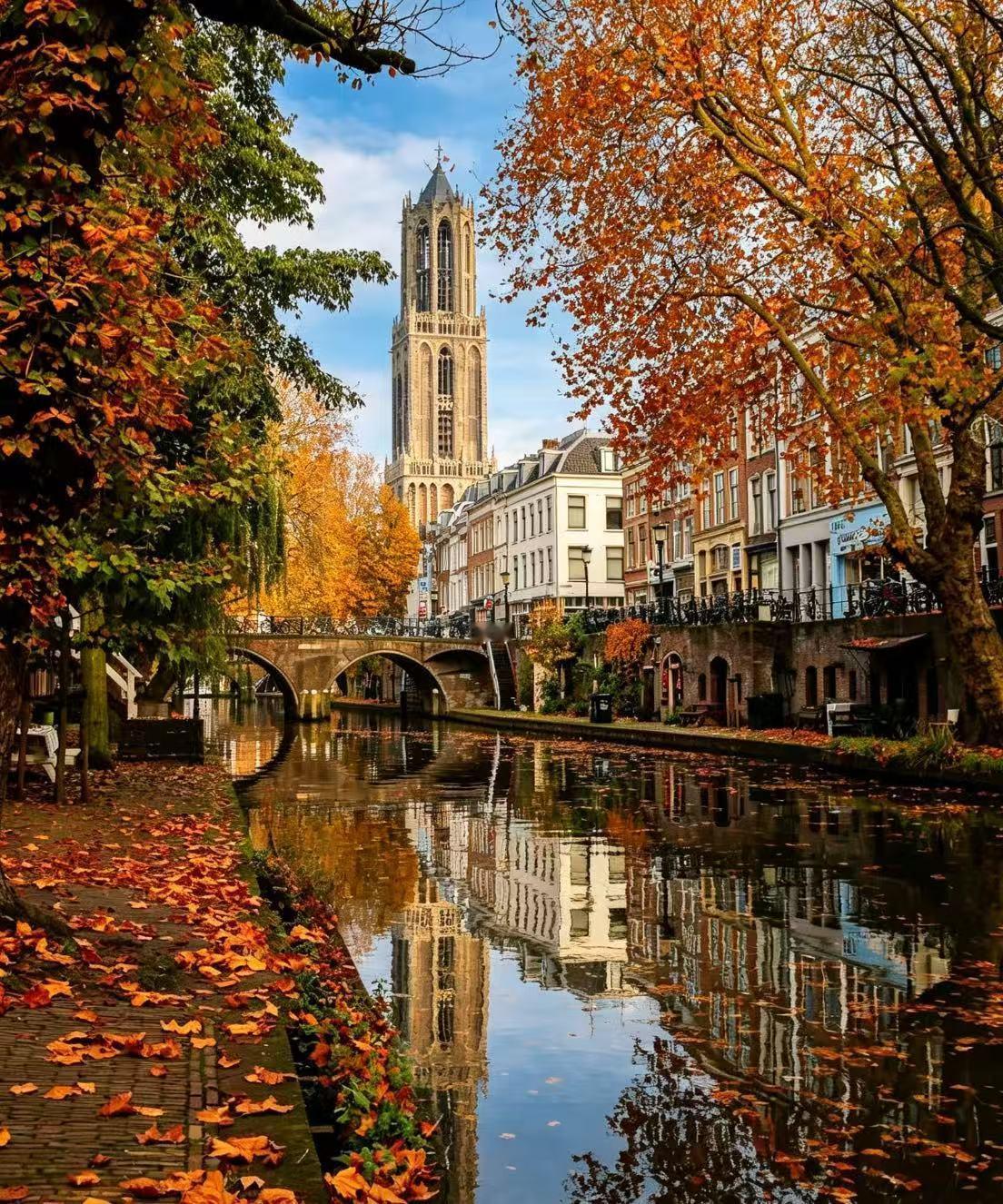 秋天是最懂得留白的季节。风不再燥热，阳光变得柔和通透，路边渐渐铺起细碎金黄。不必