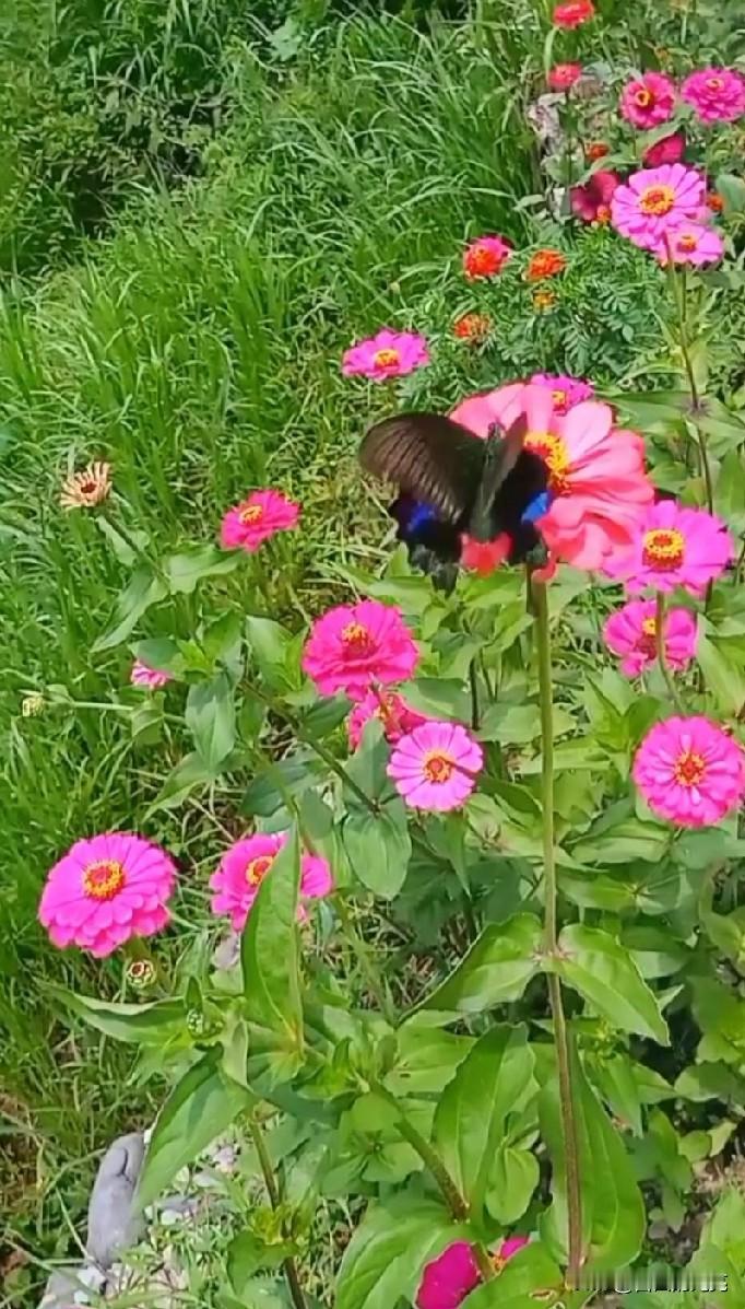 身体是革命的本钱这句话，一个人在正常时是悟不透的，只有真正有病了，才会有所领悟！