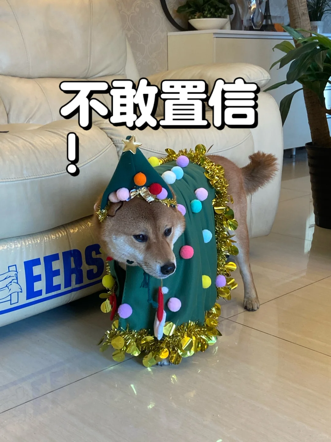 🐶：麻麻，穿这个还能看到我漂亮的毛毛吗？
