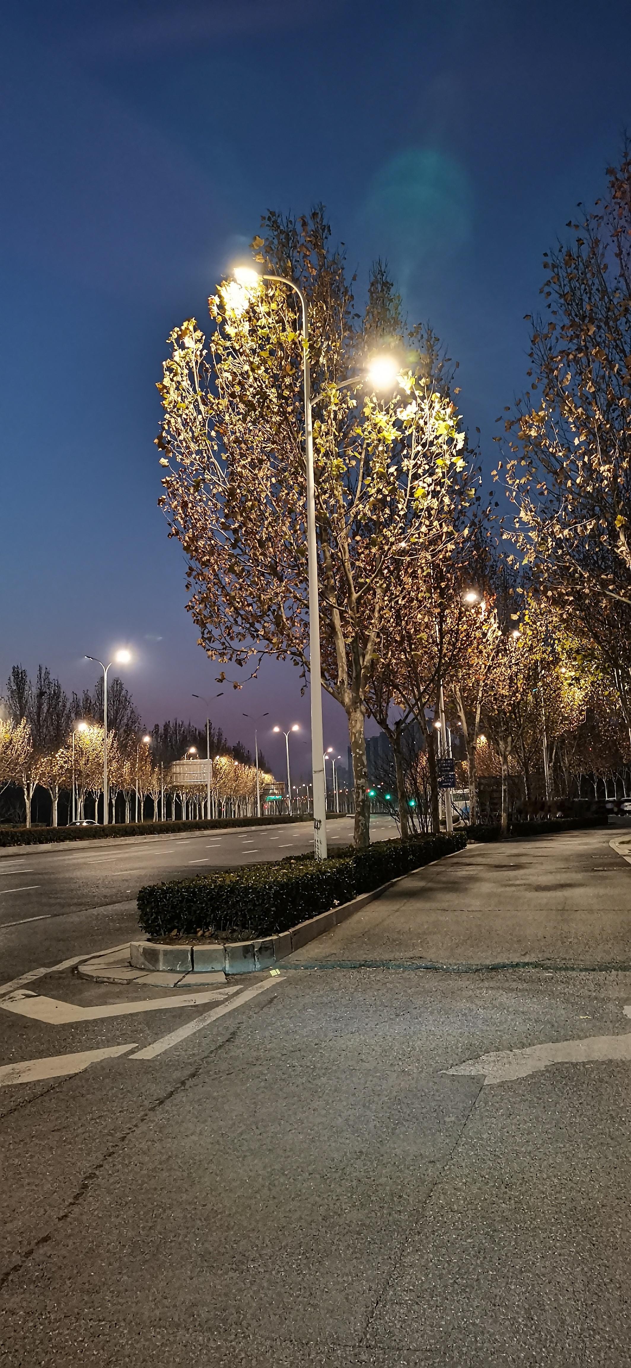 周遭那么冷路还有那么长孤独依然真实 