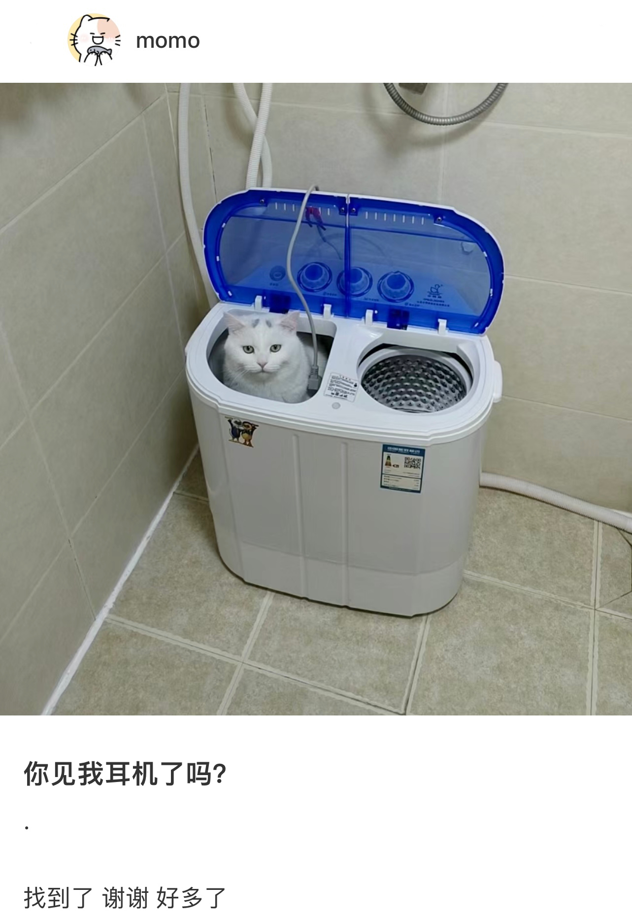 请问你看到我的小猫耳机了吗？ ​​​