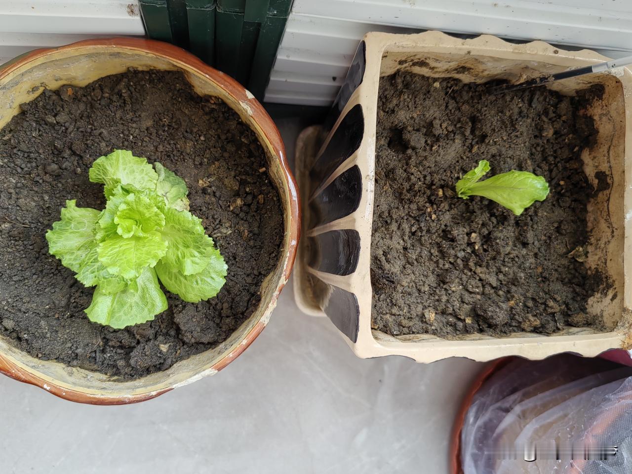 退休的朋友在头条上写文章挣不到钱，现在写公众号，朋友写的是诗歌，她说在头条上写的