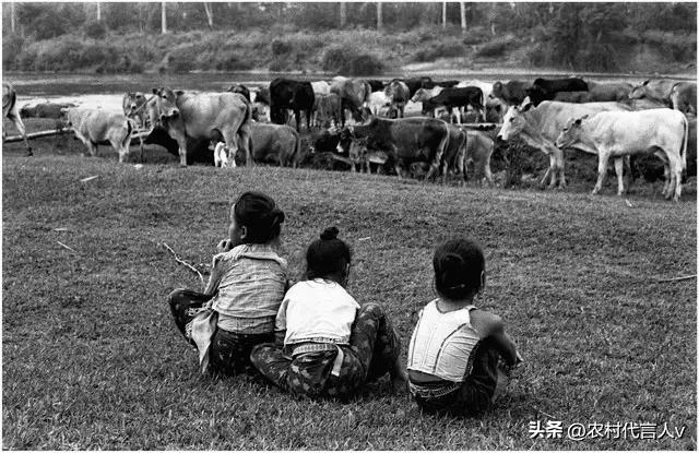 农村过年没年味了？不是年变了，是我们的生活回不到从前。
 
总听身边人感慨：现在