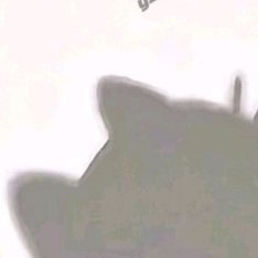每日一善[超话]mrys每日一善 善微而易行，善小而能行，久而能持，方为善道。建