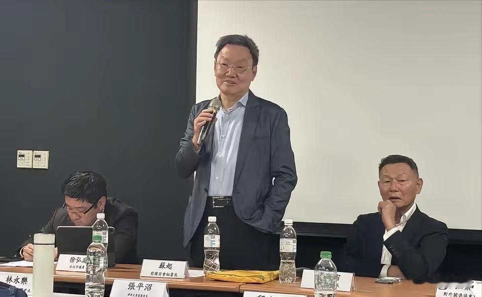前陆委会主委、“国安会”前秘书长苏起昨天（5月17日）在一场座谈会上针对中美新格