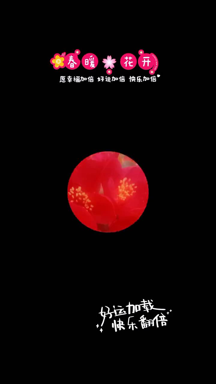 好运加载，快乐翻倍。
春暖花开，愿幸福加倍，好运加倍，快乐加倍。