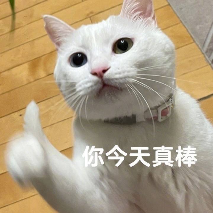 “投糕，如果坚持日清的话，很多鼠应该已经击败200只鬼王了，这个时候鬼王礼遇也应