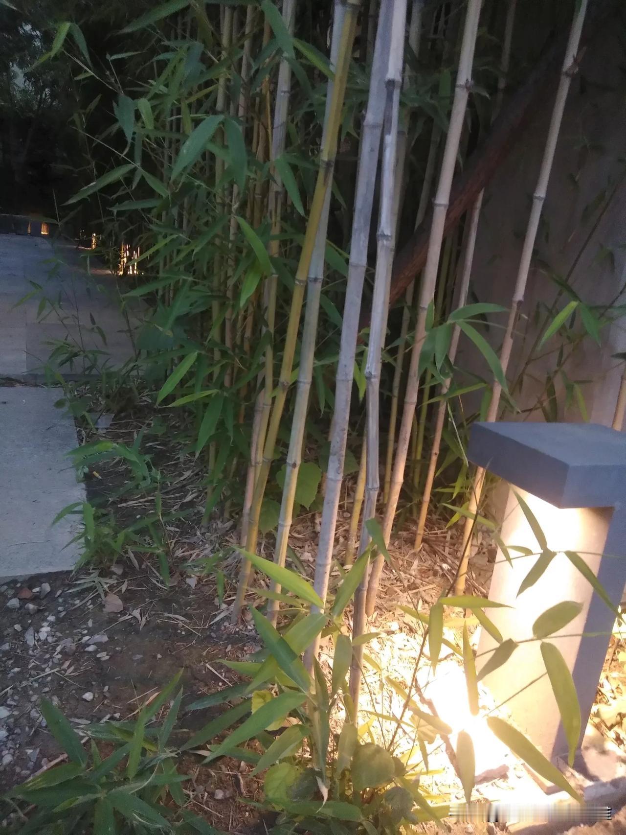 生活就像一杯茶:
淡雅中有清香。

问候就像一首歌:
情意中有祝福。

那么
思